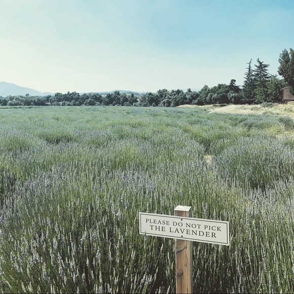 Meet your Posher, Vanessa - Picture 1 of 2